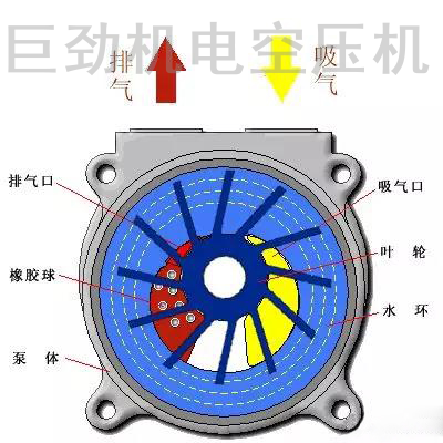 水环真空泵 水环真空泵